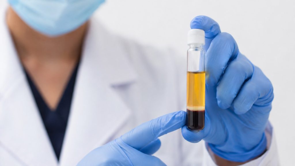 Layered Amber Sample in Blue Gloves